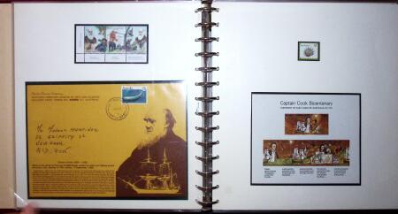 THEMATIC COLLECTION of sea shells in 9 albums