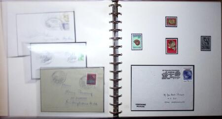 THEMATIC COLLECTION of sea shells in 9 albums