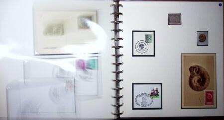 THEMATIC COLLECTION of sea shells in 9 albums