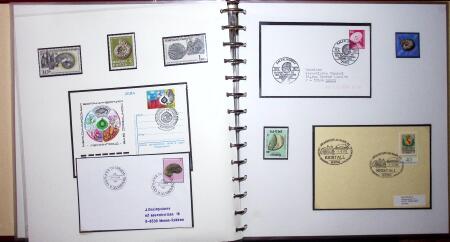 THEMATIC COLLECTION of sea shells in 9 albums
