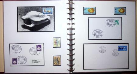 THEMATIC COLLECTION of sea shells in 9 albums