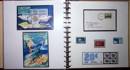 THEMATIC COLLECTION of sea shells in 9 albums