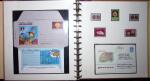 THEMATIC COLLECTION of sea shells in 9 albums