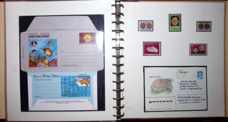 THEMATIC COLLECTION of sea shells in 9 albums
