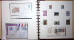 THEMATIC COLLECTION of sea shells in 9 albums