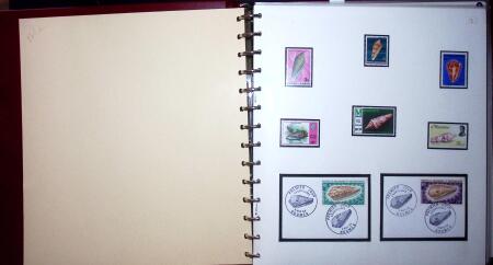 THEMATIC COLLECTION of sea shells in 9 albums