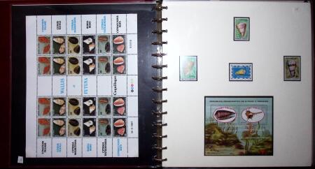 THEMATIC COLLECTION of sea shells in 9 albums