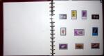 THEMATIC COLLECTION of sea shells in 9 albums