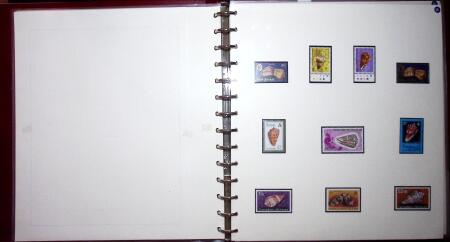 THEMATIC COLLECTION of sea shells in 9 albums
