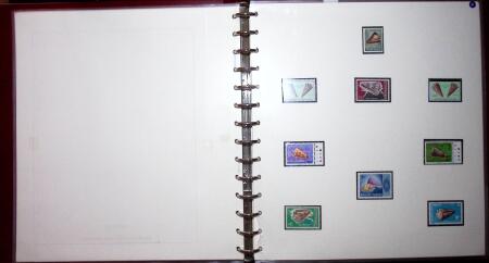 THEMATIC COLLECTION of sea shells in 9 albums