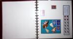 THEMATIC COLLECTION of sea shells in 9 albums