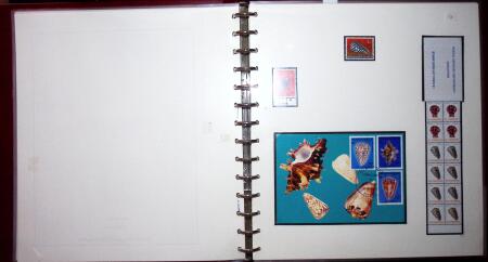 THEMATIC COLLECTION of sea shells in 9 albums