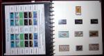 THEMATIC COLLECTION of sea shells in 9 albums