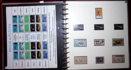 THEMATIC COLLECTION of sea shells in 9 albums