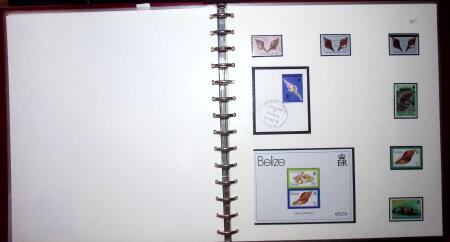 THEMATIC COLLECTION of sea shells in 9 albums