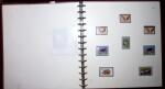 THEMATIC COLLECTION of sea shells in 9 albums