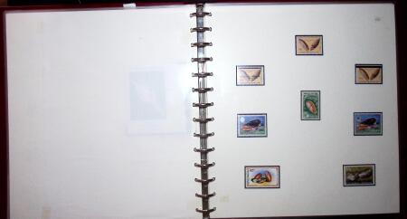 THEMATIC COLLECTION of sea shells in 9 albums