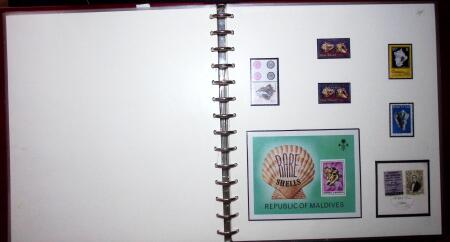 THEMATIC COLLECTION of sea shells in 9 albums