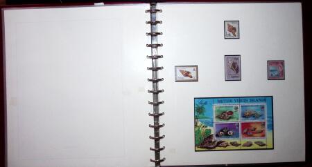 THEMATIC COLLECTION of sea shells in 9 albums