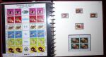 THEMATIC COLLECTION of sea shells in 9 albums