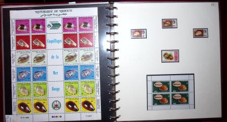 THEMATIC COLLECTION of sea shells in 9 albums