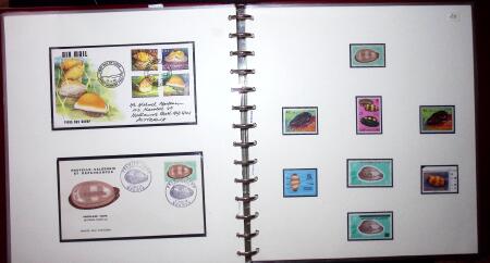 THEMATIC COLLECTION of sea shells in 9 albums