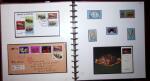 THEMATIC COLLECTION of sea shells in 9 albums