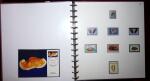 THEMATIC COLLECTION of sea shells in 9 albums