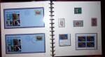 THEMATIC COLLECTION of sea shells in 9 albums