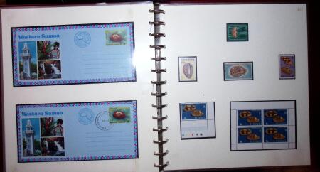 THEMATIC COLLECTION of sea shells in 9 albums