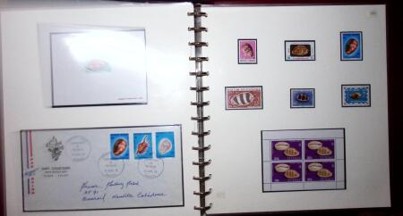 THEMATIC COLLECTION of sea shells in 9 albums