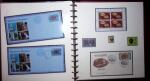 THEMATIC COLLECTION of sea shells in 9 albums