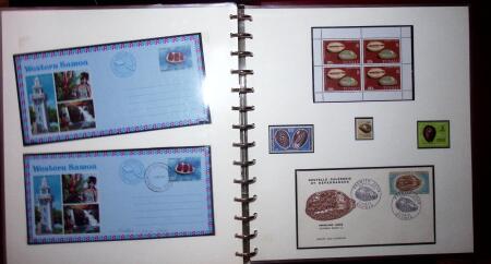 THEMATIC COLLECTION of sea shells in 9 albums