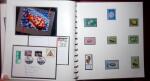 THEMATIC COLLECTION of sea shells in 9 albums