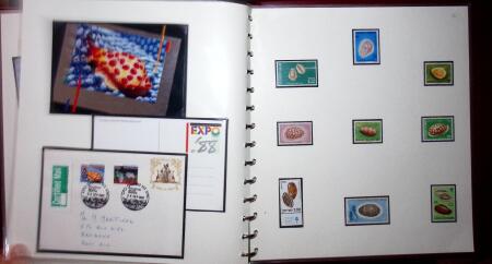 THEMATIC COLLECTION of sea shells in 9 albums