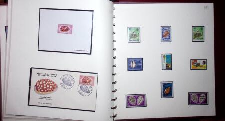 THEMATIC COLLECTION of sea shells in 9 albums
