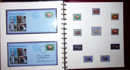 THEMATIC COLLECTION of sea shells in 9 albums