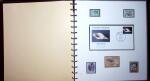 THEMATIC COLLECTION of sea shells in 9 albums