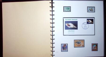 THEMATIC COLLECTION of sea shells in 9 albums