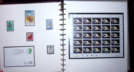 THEMATIC COLLECTION of sea shells in 9 albums