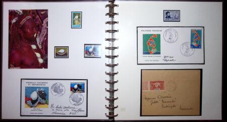 THEMATIC COLLECTION of sea shells in 9 albums