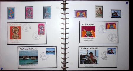 THEMATIC COLLECTION of sea shells in 9 albums