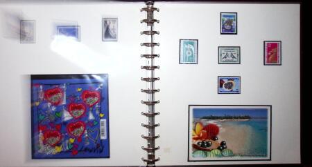 THEMATIC COLLECTION of sea shells in 9 albums