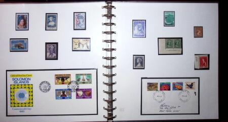 THEMATIC COLLECTION of sea shells in 9 albums