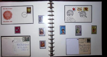 THEMATIC COLLECTION of sea shells in 9 albums