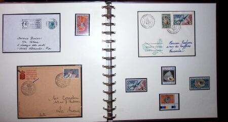 THEMATIC COLLECTION of sea shells in 9 albums