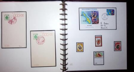 THEMATIC COLLECTION of sea shells in 9 albums