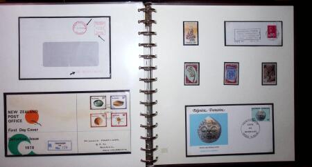 THEMATIC COLLECTION of sea shells in 9 albums