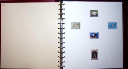 THEMATIC COLLECTION of sea shells in 9 albums