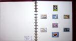 THEMATIC COLLECTION of sea shells in 9 albums